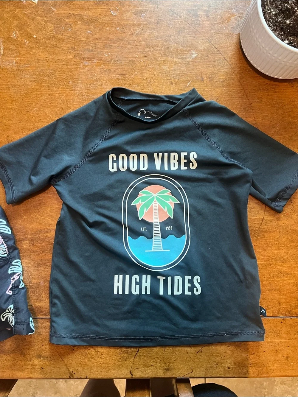 Art Class Good Vibes High Tides Rash Guard & Palm Tree Swim Trunks Set Boys 6/7